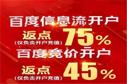 SEO与百度广告的结合：双管齐下的推广案例